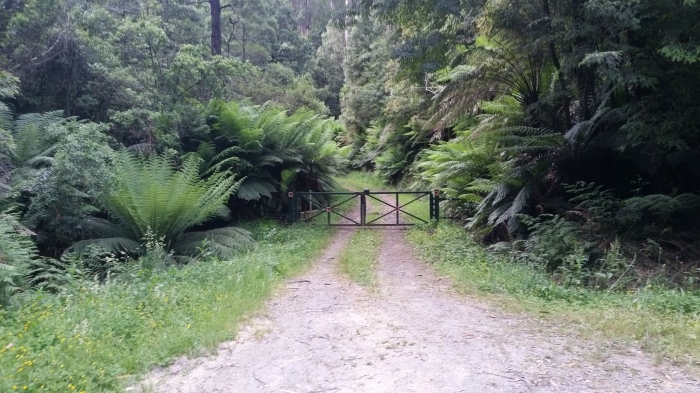 Locked gate at the start of Road 15
